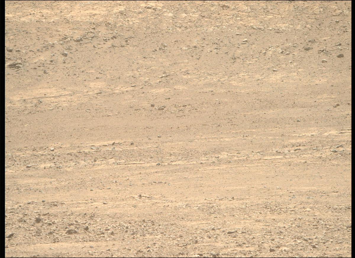 This image was taken by MCZ_RIGHT onboard NASA's Mars rover Perseverance on Sol 1503