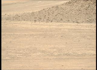 View image taken on Mars, Mars Perseverance Sol 1503: Right Mastcam-Z Camera