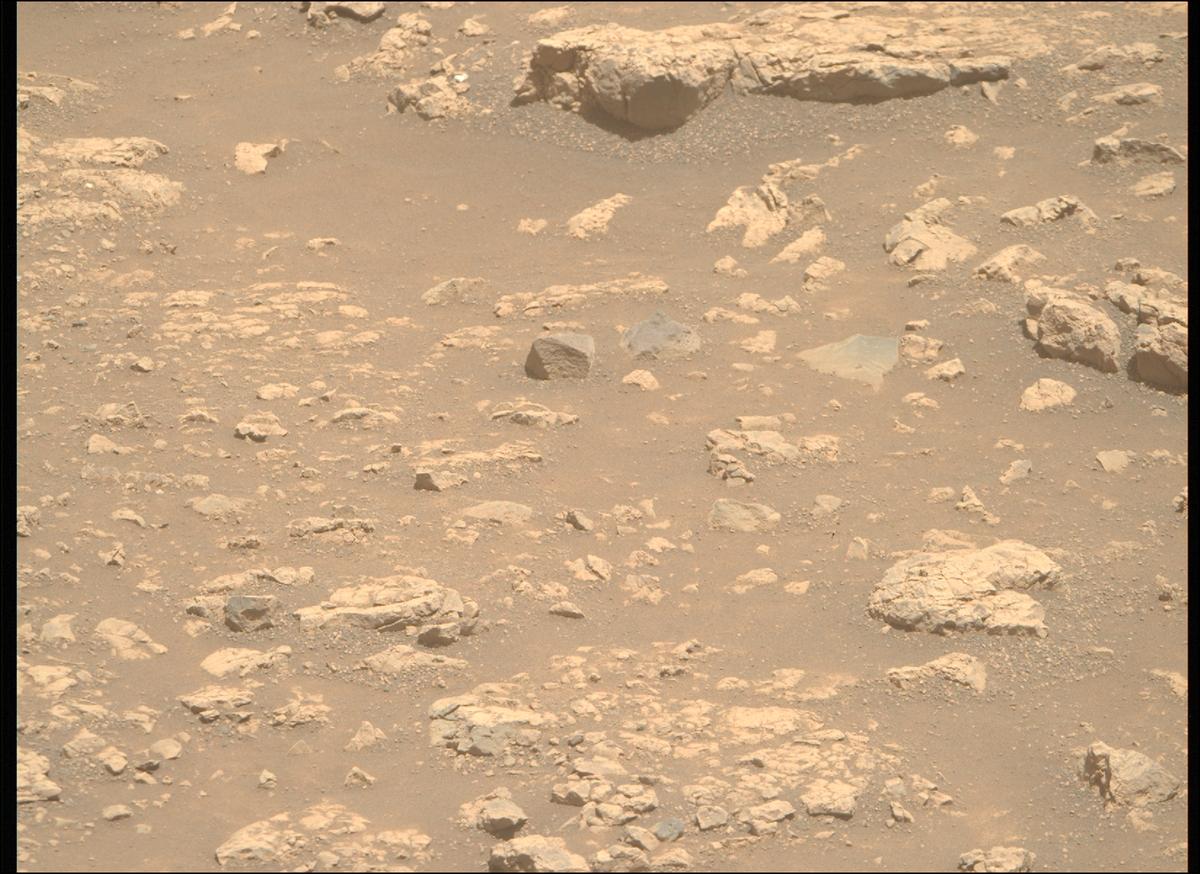 This image was taken by MCZ_RIGHT onboard NASA's Mars rover Perseverance on Sol 1503