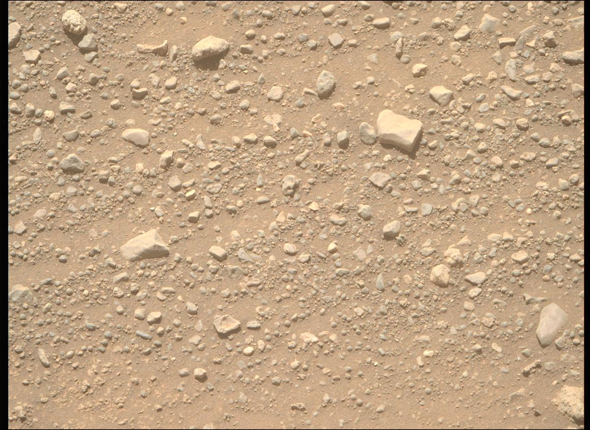 This image was taken by MCZ_RIGHT onboard NASA's Mars rover Perseverance on Sol 1503