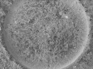 View image taken on Mars, Mars Perseverance Sol 1504: WATSON Camera 