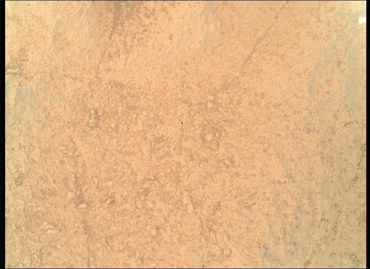 This image was taken by SHERLOC_WATSON onboard NASA's Mars rover Perseverance on Sol 1504