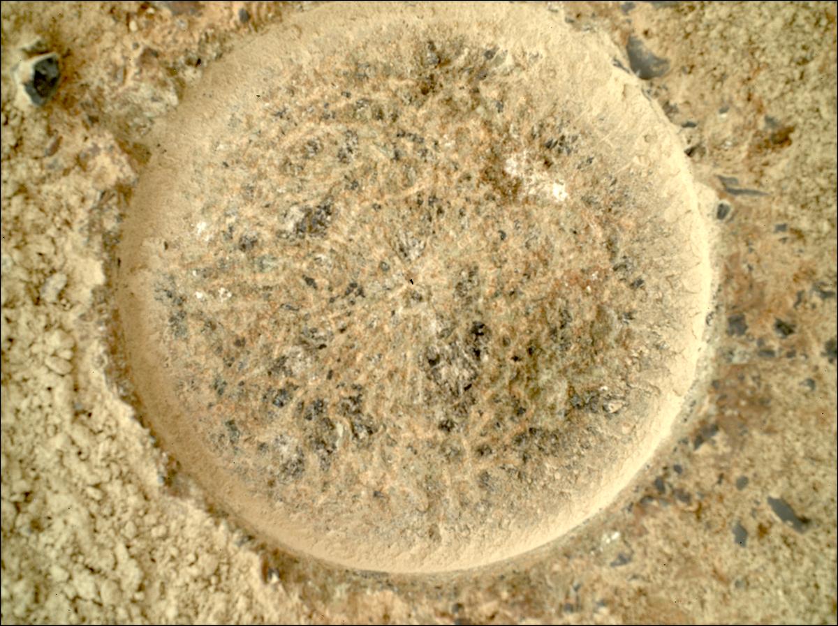 This image was taken by SHERLOC_WATSON onboard NASA's Mars rover Perseverance on Sol 1504