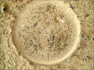 View image taken on Mars, Mars Perseverance Sol 1504: WATSON Camera 