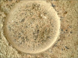 View image taken on Mars, Mars Perseverance Sol 1504: WATSON Camera 