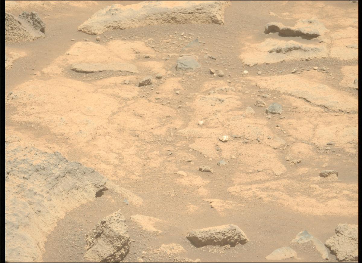 This image was taken by MCZ_LEFT onboard NASA's Mars rover Perseverance on Sol 1504