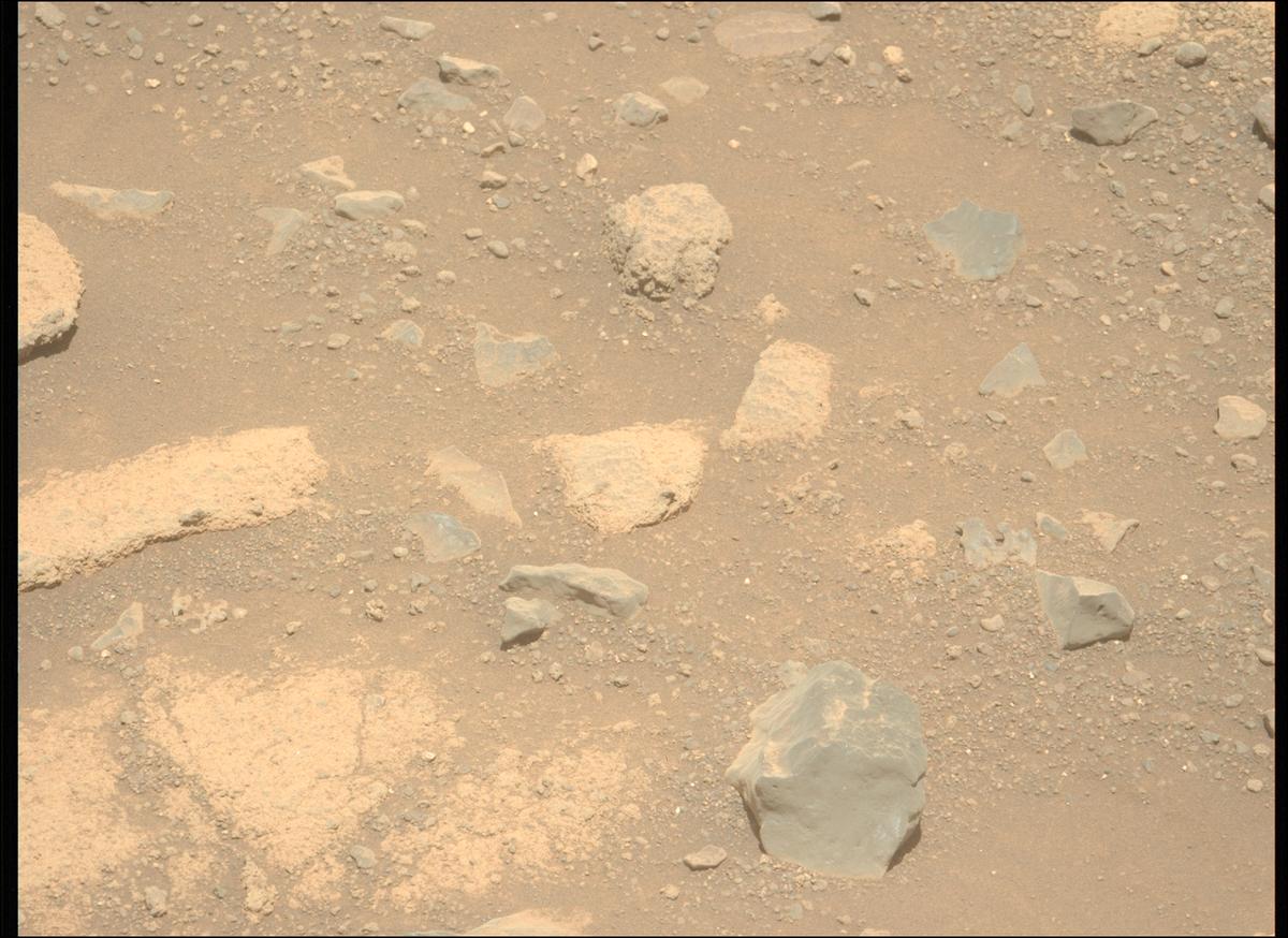 This image was taken by MCZ_LEFT onboard NASA's Mars rover Perseverance on Sol 1504