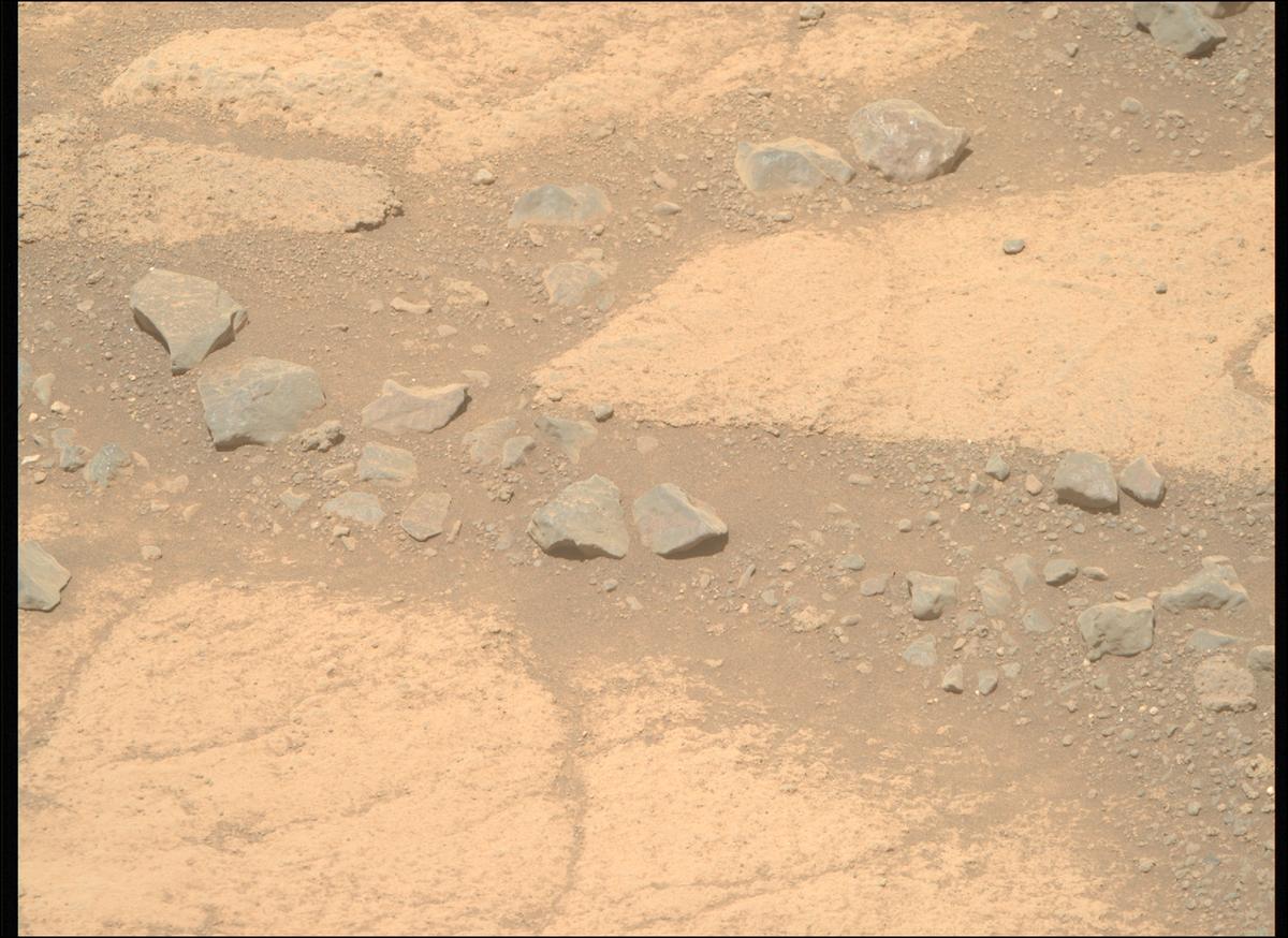 This image was taken by MCZ_RIGHT onboard NASA's Mars rover Perseverance on Sol 1504