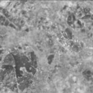 View image taken on Mars, Mars Perseverance Sol 1505: SHERLOC ACI Camera 