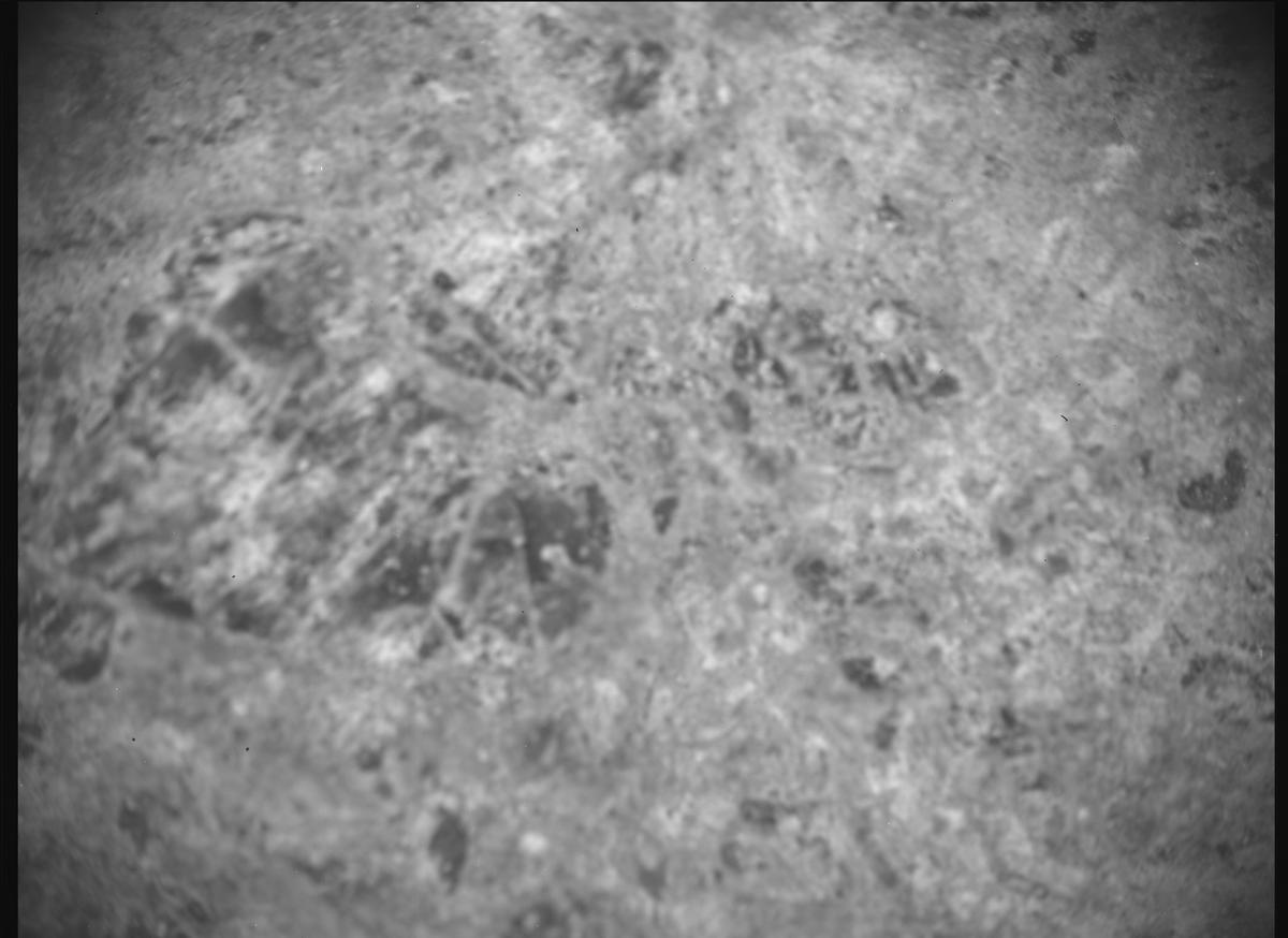 This image was taken by SHERLOC_ACI onboard NASA's Mars rover Perseverance on Sol 1505