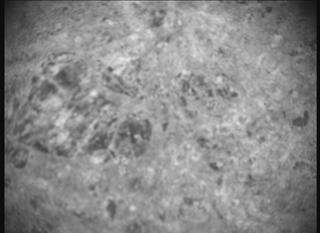 View image taken on Mars, Mars Perseverance Sol 1505: SHERLOC ACI Camera 