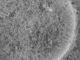 View image taken on Mars, Mars Perseverance Sol 1505: WATSON Camera 