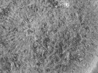 View image taken on Mars, Mars Perseverance Sol 1505: WATSON Camera 