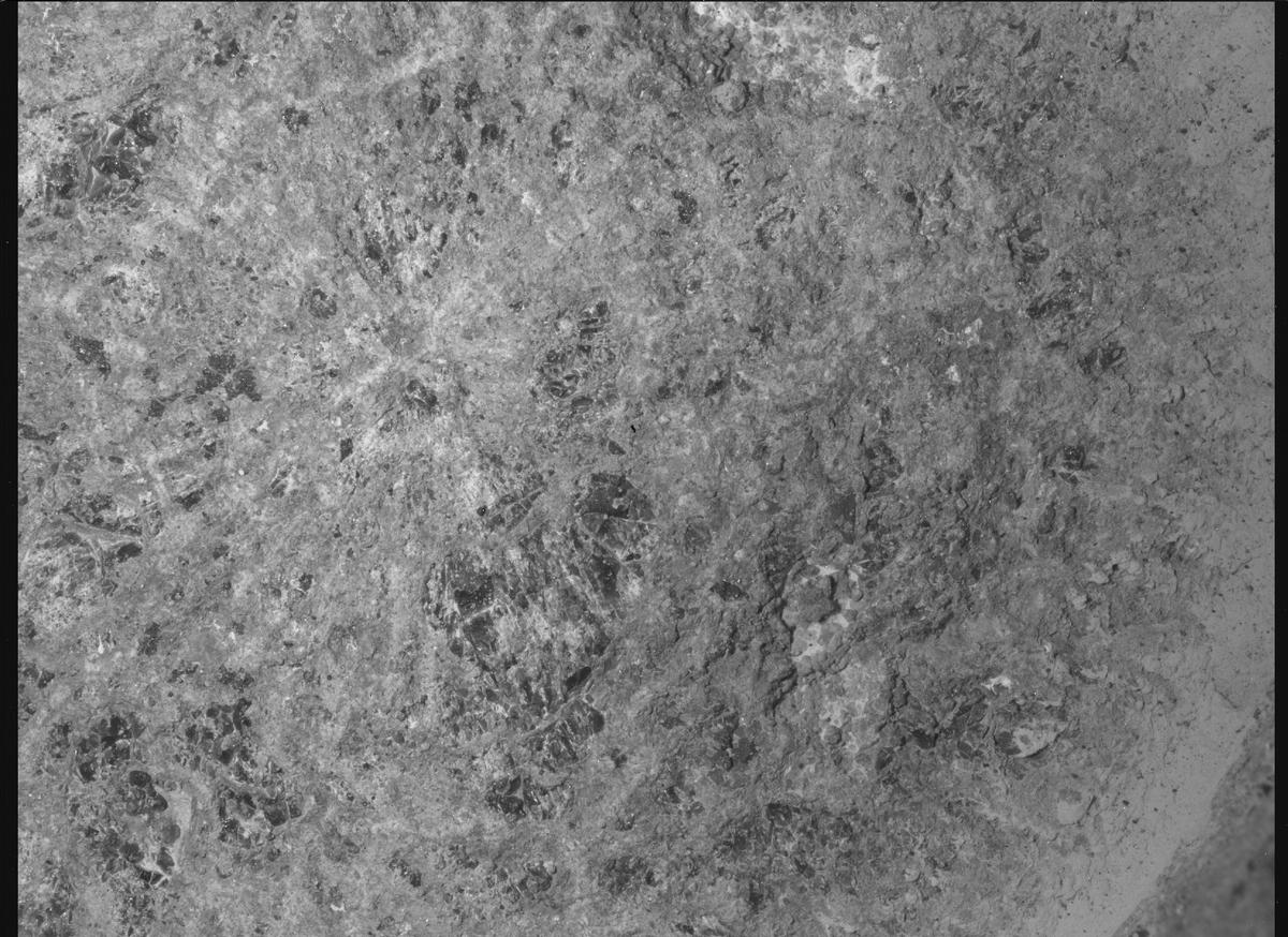 This image was taken by SHERLOC_WATSON onboard NASA's Mars rover Perseverance on Sol 1505