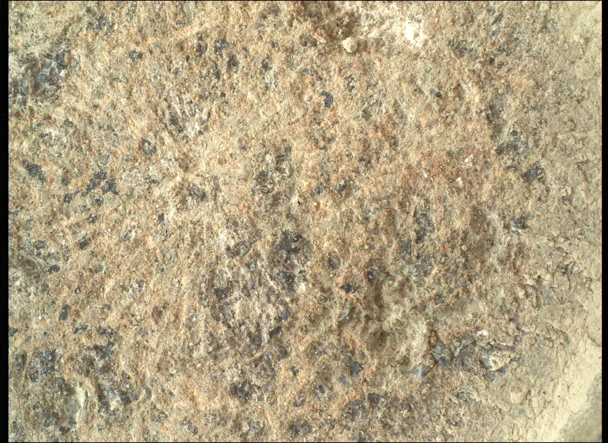 This image was taken by SHERLOC_WATSON onboard NASA's Mars rover Perseverance on Sol 1505