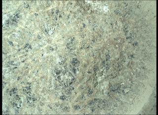 View image taken on Mars, Mars Perseverance Sol 1505: WATSON Camera 