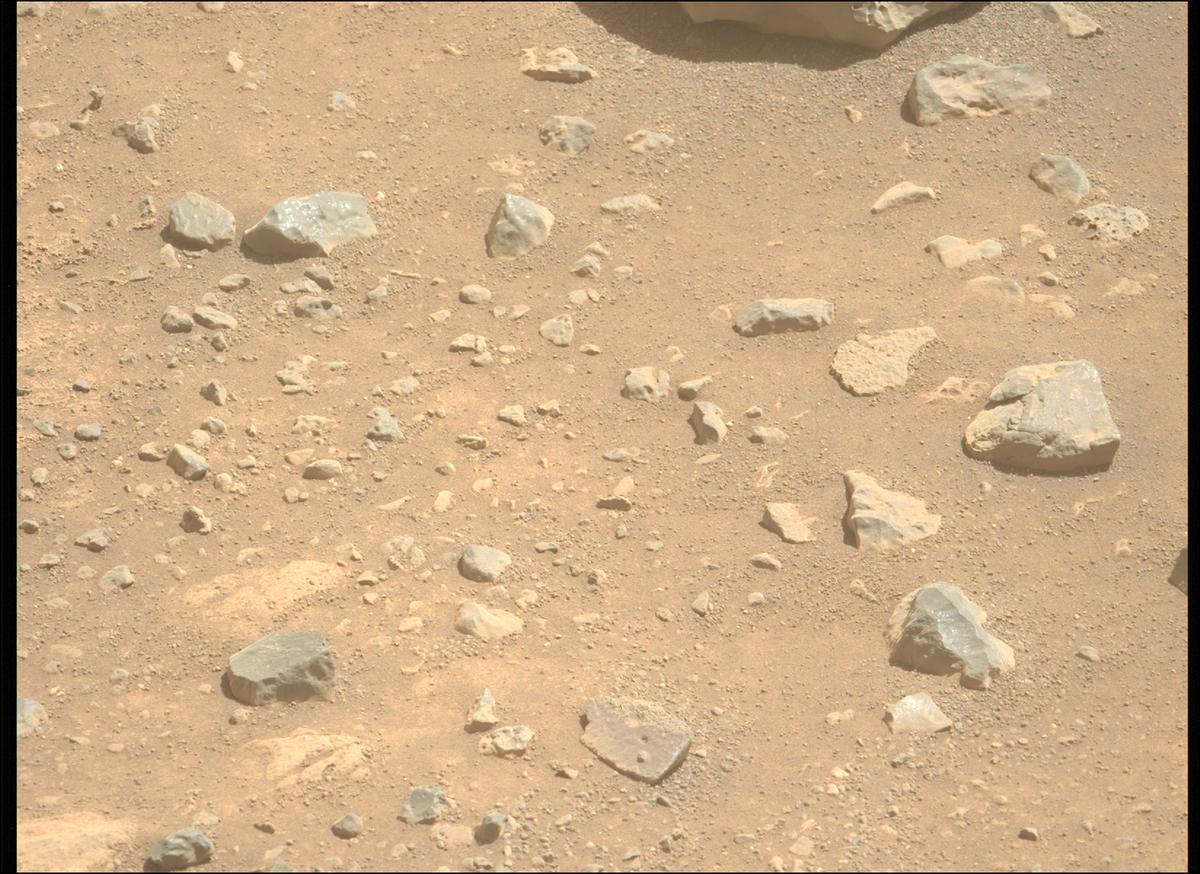 This image was taken by MCZ_LEFT onboard NASA's Mars rover Perseverance on Sol 1505
