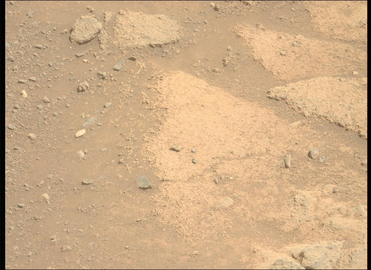 This image was taken by MCZ_LEFT onboard NASA's Mars rover Perseverance on Sol 1505