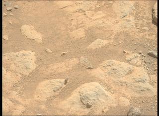 View image taken on Mars, Mars Perseverance Sol 1505: Left Mastcam-Z Camera