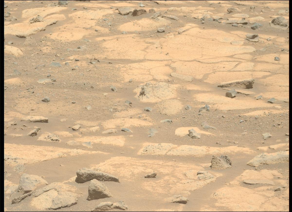 This image was taken by MCZ_LEFT onboard NASA's Mars rover Perseverance on Sol 1505