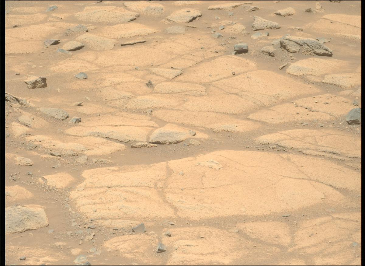 This image was taken by MCZ_LEFT onboard NASA's Mars rover Perseverance on Sol 1505
