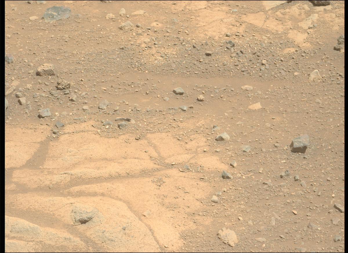 This image was taken by MCZ_LEFT onboard NASA's Mars rover Perseverance on Sol 1505