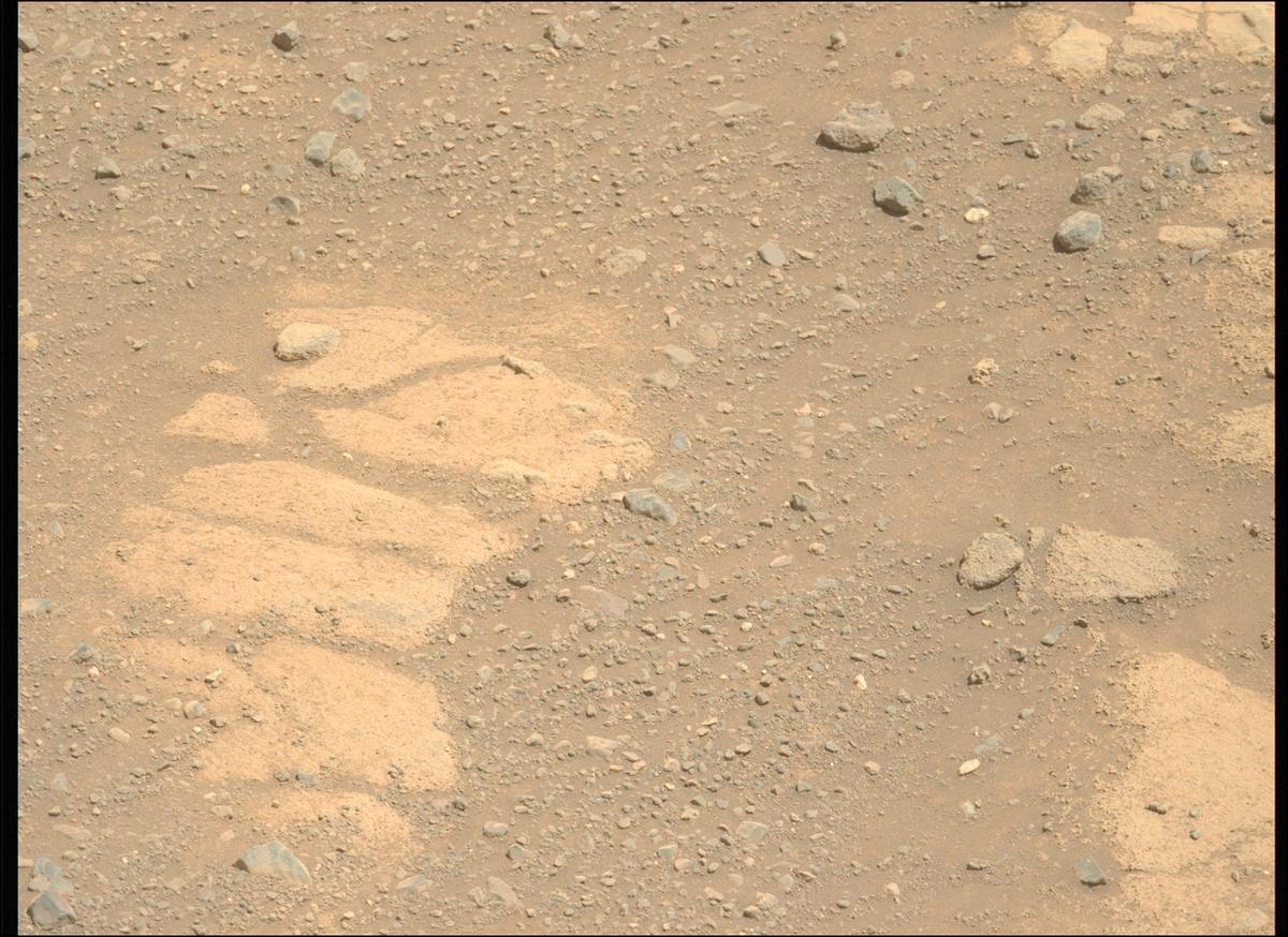 This image was taken by MCZ_LEFT onboard NASA's Mars rover Perseverance on Sol 1505
