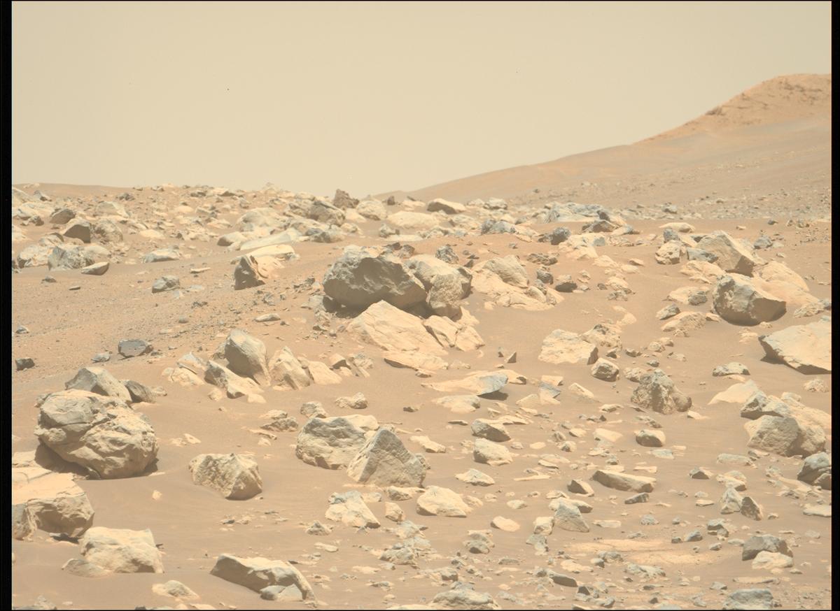 This image was taken by MCZ_LEFT onboard NASA's Mars rover Perseverance on Sol 1505