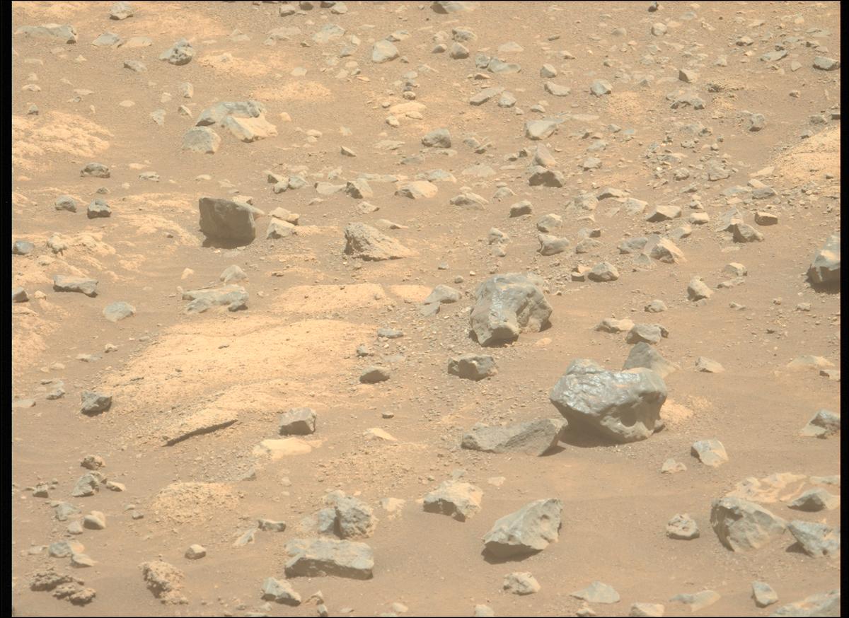 This image was taken by MCZ_LEFT onboard NASA's Mars rover Perseverance on Sol 1505
