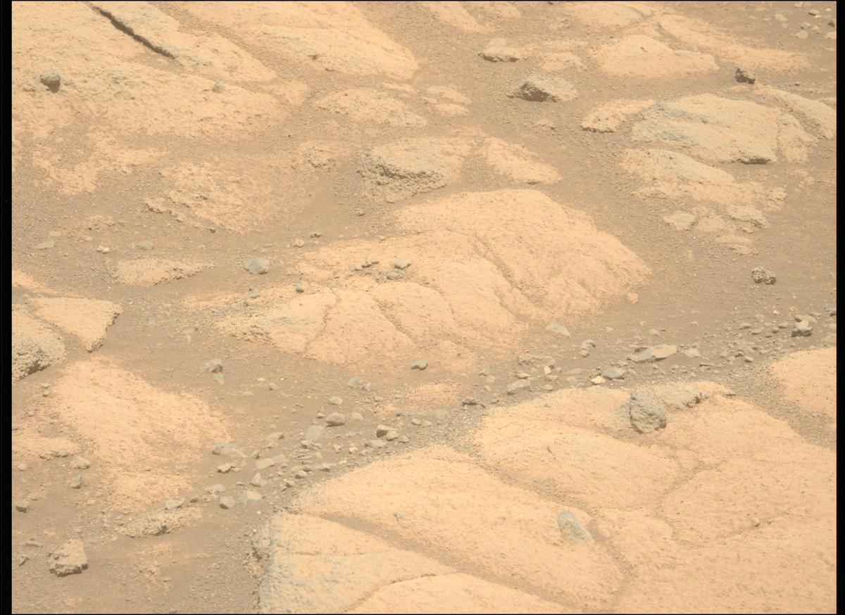 This image was taken by MCZ_LEFT onboard NASA's Mars rover Perseverance on Sol 1505