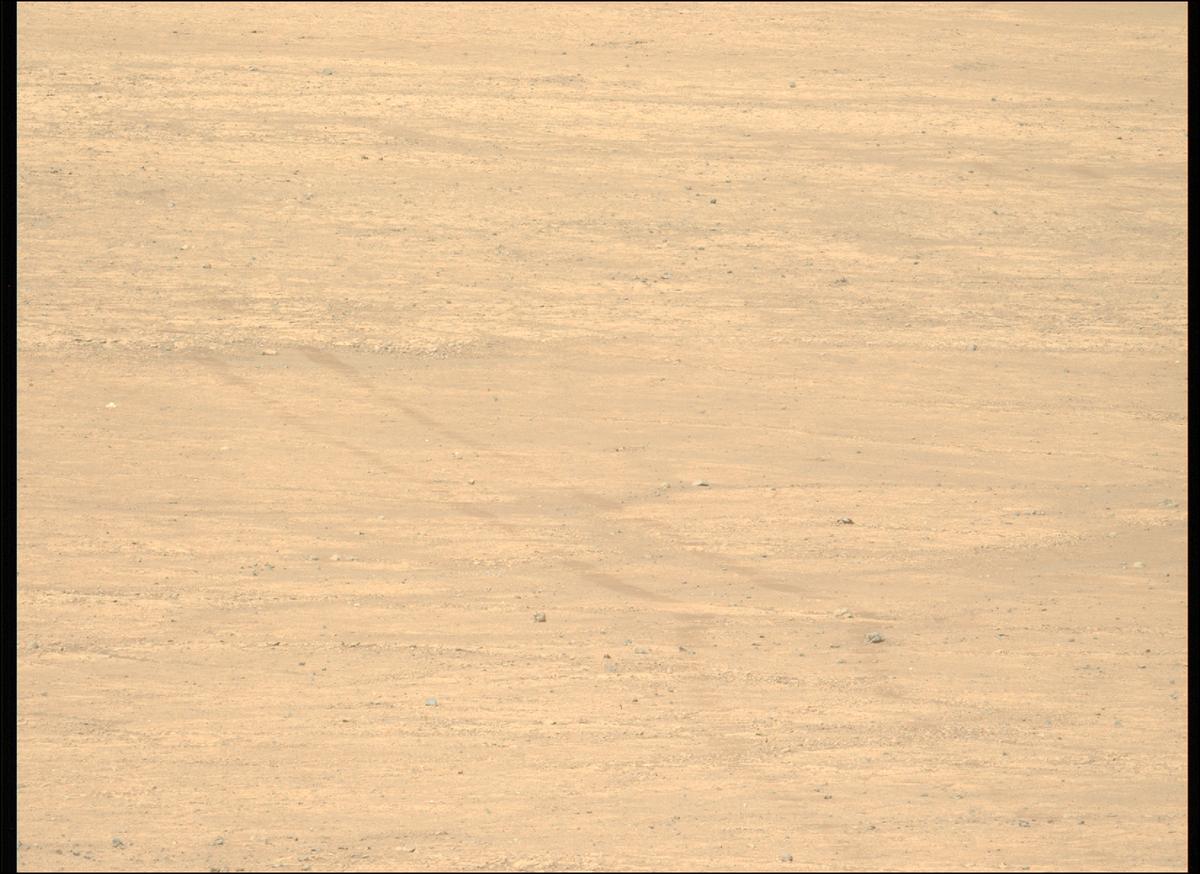 This image was taken by MCZ_LEFT onboard NASA's Mars rover Perseverance on Sol 1505