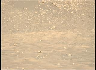 View image taken on Mars, Mars Perseverance Sol 1505: Left Mastcam-Z Camera