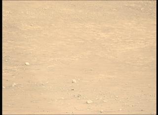 View image taken on Mars, Mars Perseverance Sol 1505: Left Mastcam-Z Camera