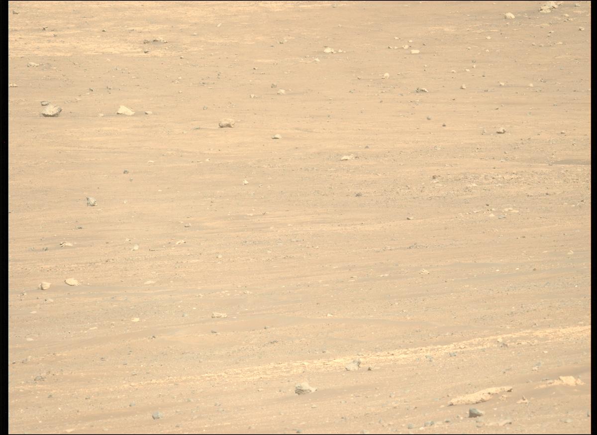 This image was taken by MCZ_LEFT onboard NASA's Mars rover Perseverance on Sol 1505