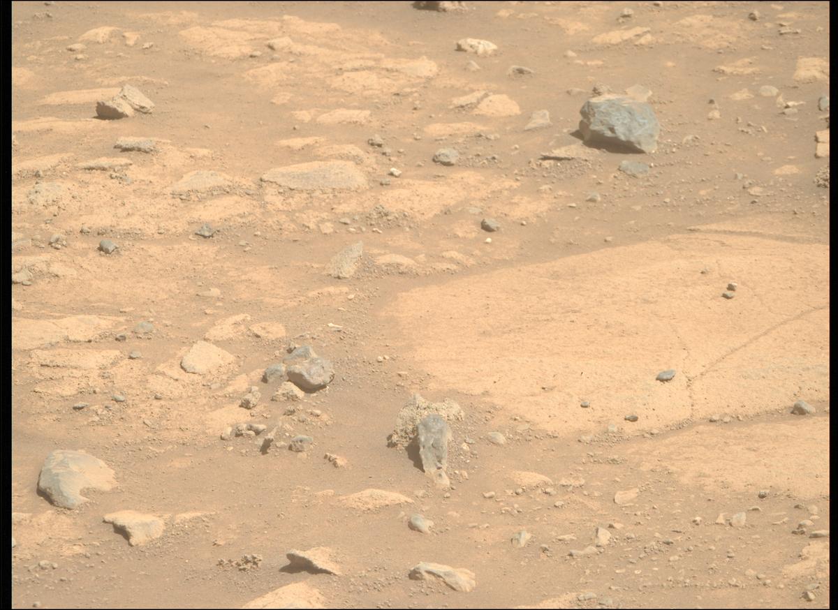 This image was taken by MCZ_RIGHT onboard NASA's Mars rover Perseverance on Sol 1505