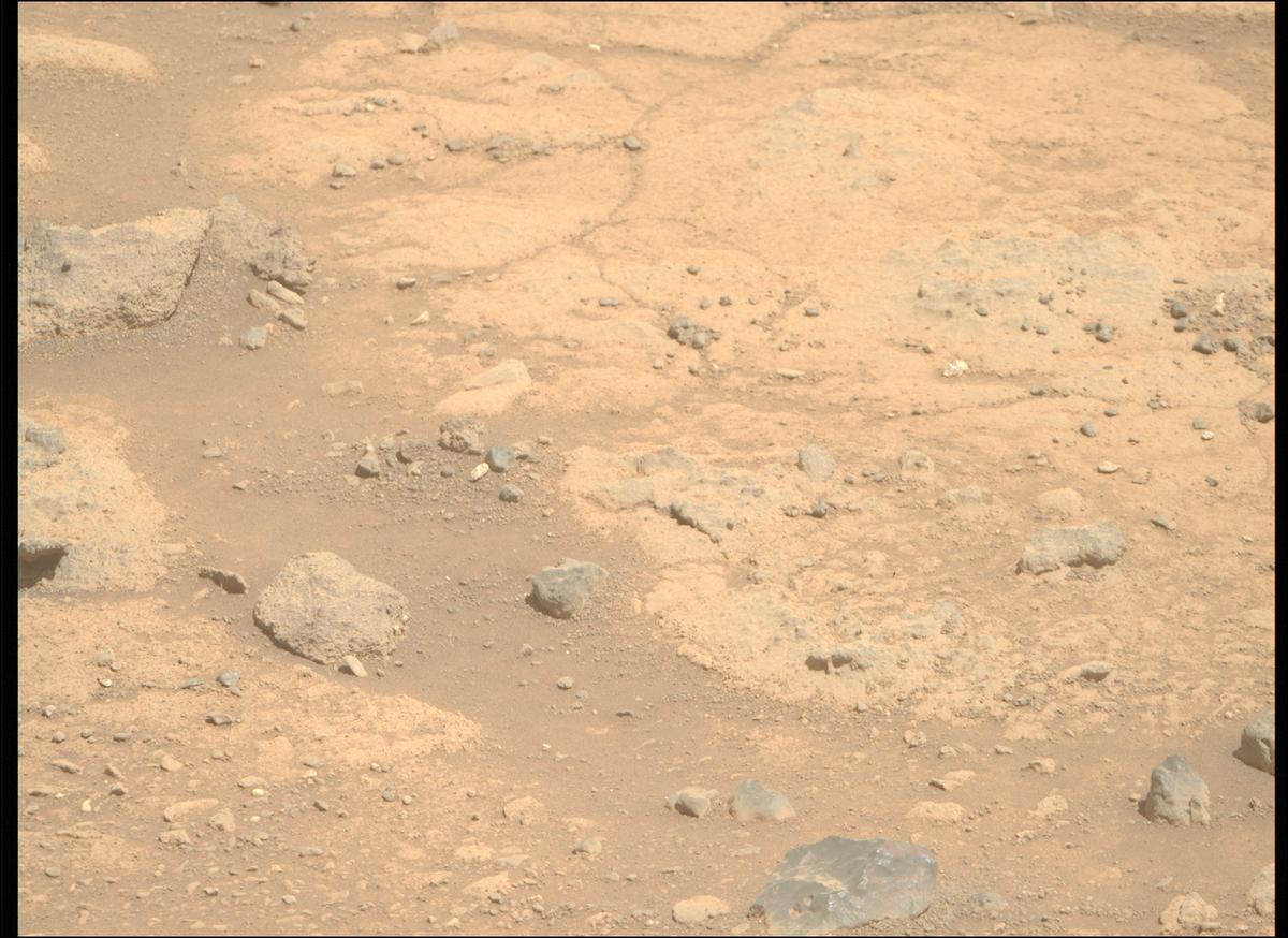 This image was taken by MCZ_RIGHT onboard NASA's Mars rover Perseverance on Sol 1505