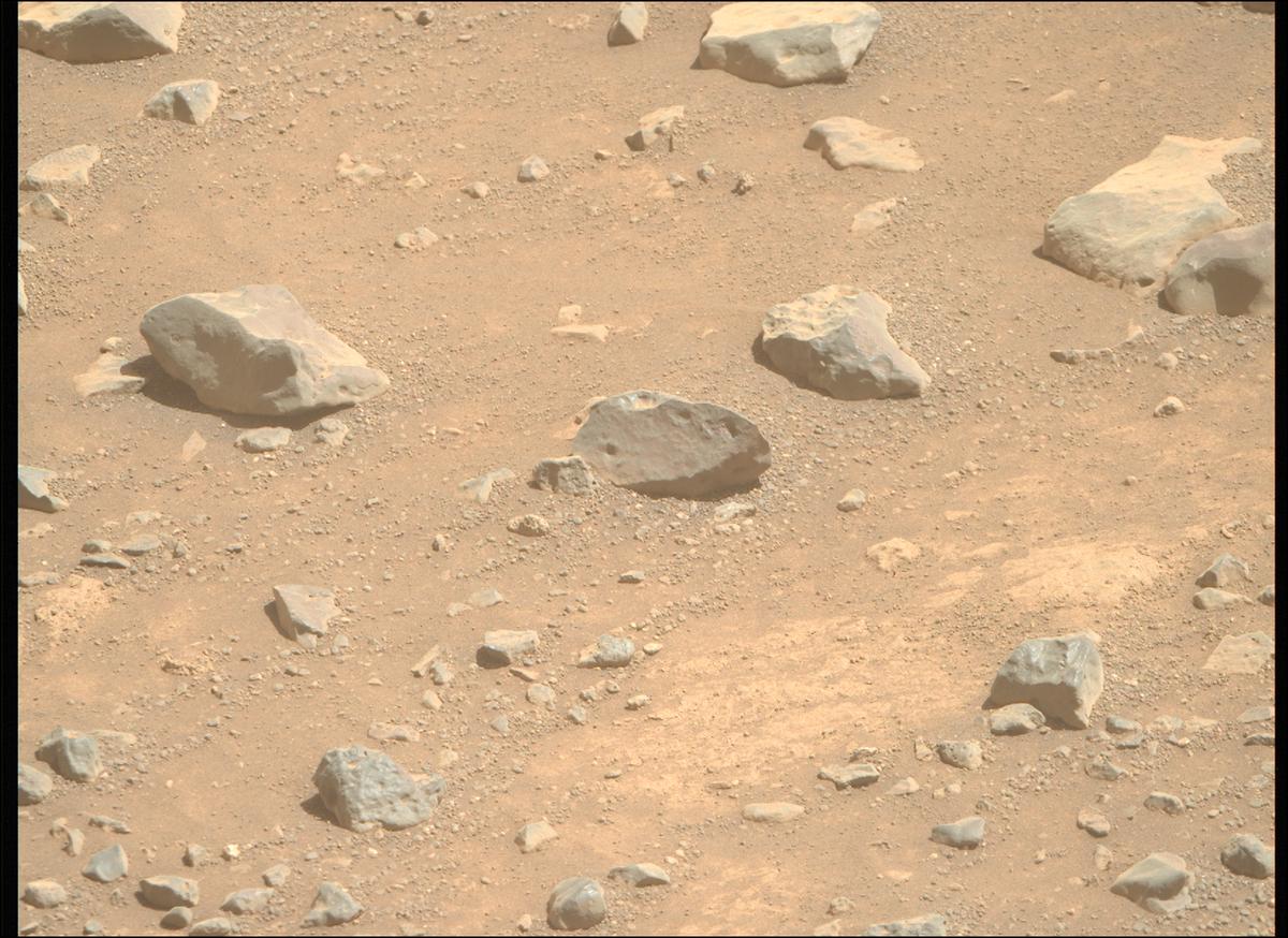 This image was taken by MCZ_RIGHT onboard NASA's Mars rover Perseverance on Sol 1505