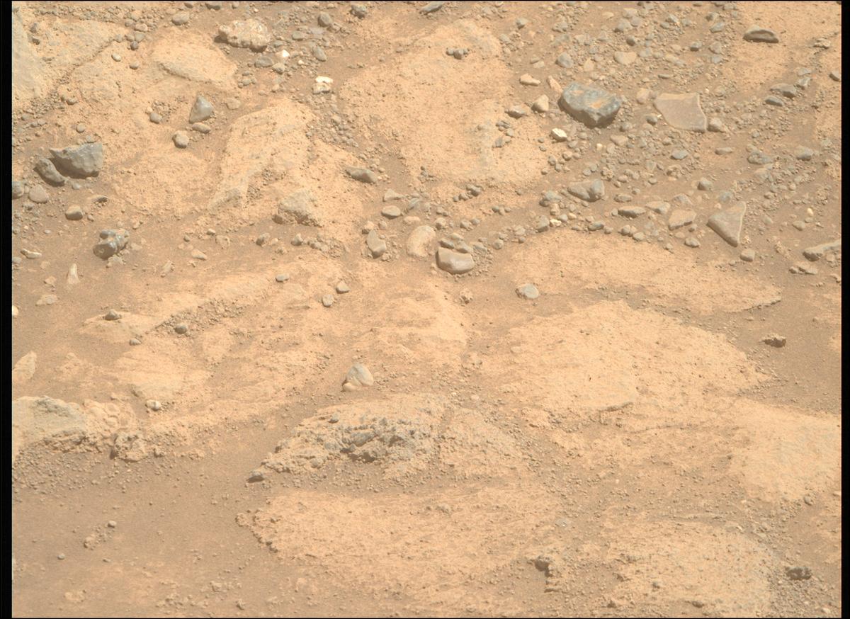 This image was taken by MCZ_RIGHT onboard NASA's Mars rover Perseverance on Sol 1505