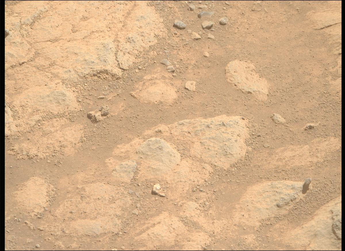 This image was taken by MCZ_RIGHT onboard NASA's Mars rover Perseverance on Sol 1505