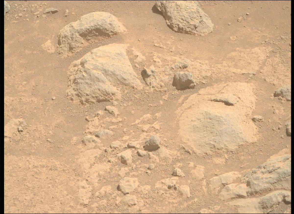 This image was taken by MCZ_RIGHT onboard NASA's Mars rover Perseverance on Sol 1505