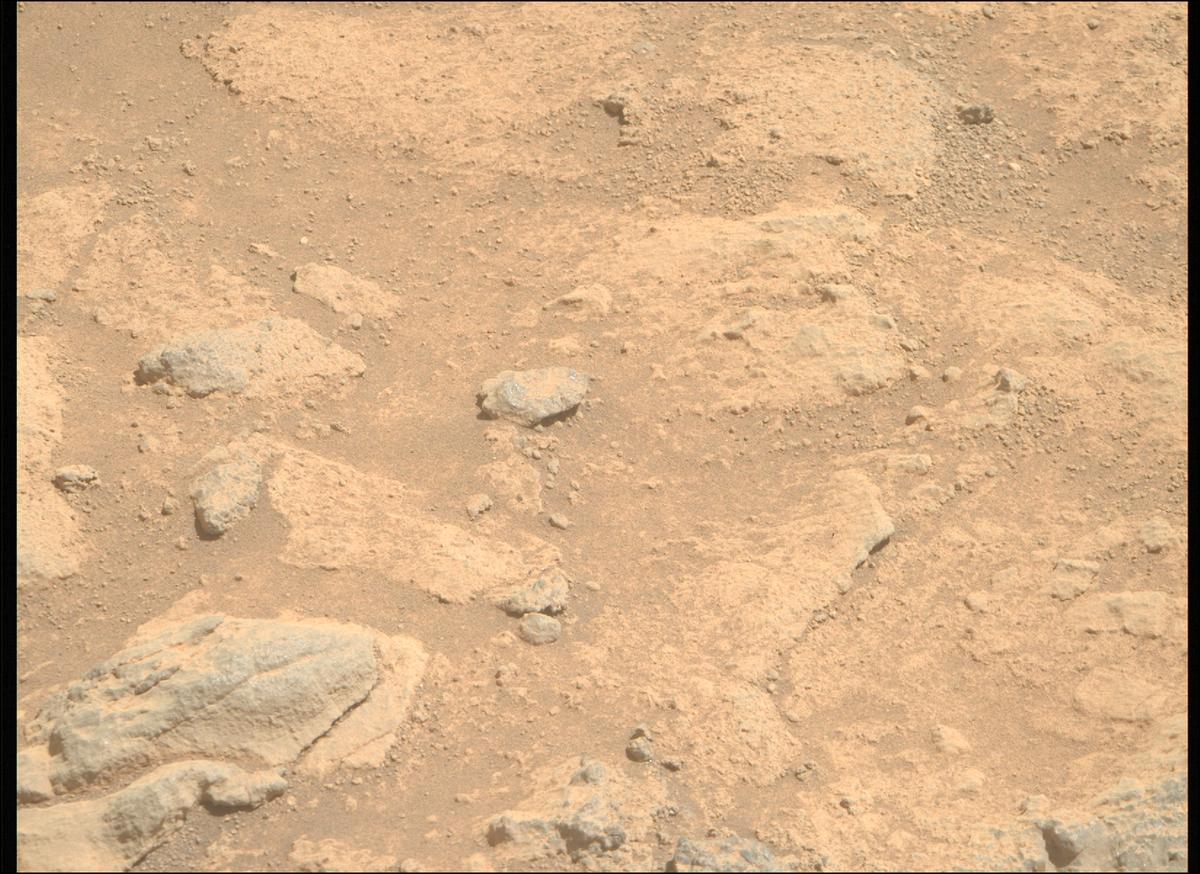 This image was taken by MCZ_RIGHT onboard NASA's Mars rover Perseverance on Sol 1505