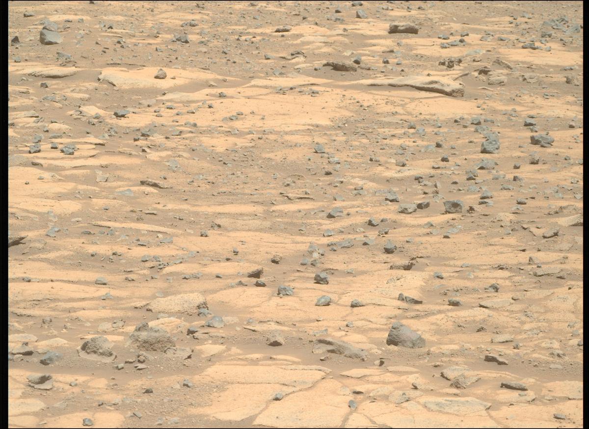 This image was taken by MCZ_RIGHT onboard NASA's Mars rover Perseverance on Sol 1505