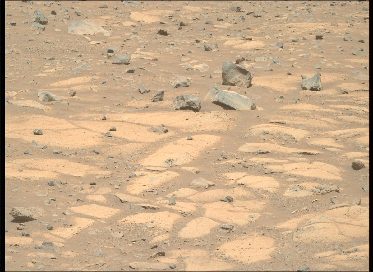 This image was taken by MCZ_RIGHT onboard NASA's Mars rover Perseverance on Sol 1505