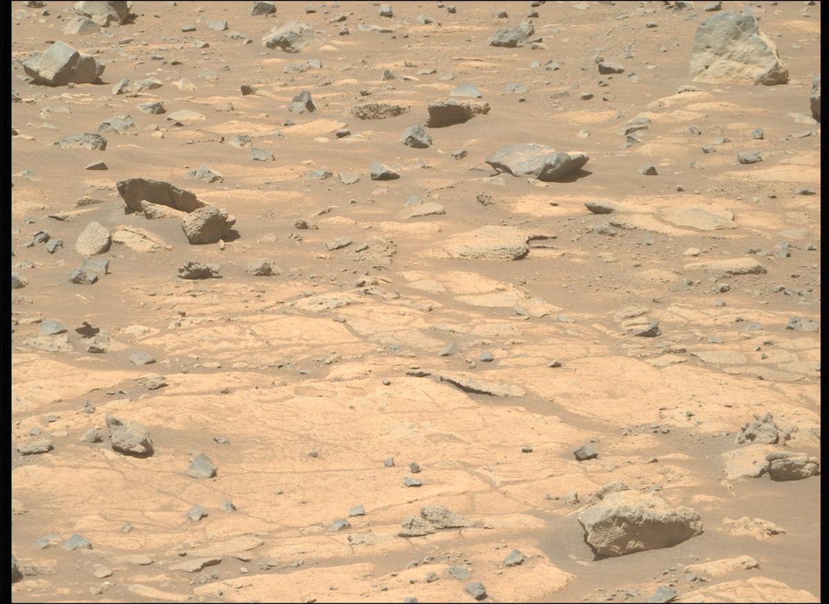 This image was taken by MCZ_RIGHT onboard NASA's Mars rover Perseverance on Sol 1505
