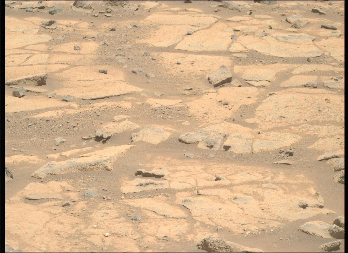 This image was taken by MCZ_RIGHT onboard NASA's Mars rover Perseverance on Sol 1505