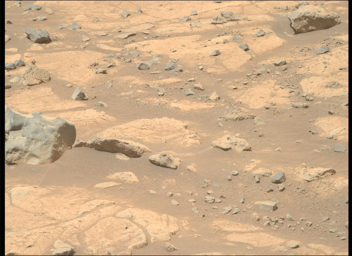 This image was taken by MCZ_RIGHT onboard NASA's Mars rover Perseverance on Sol 1505