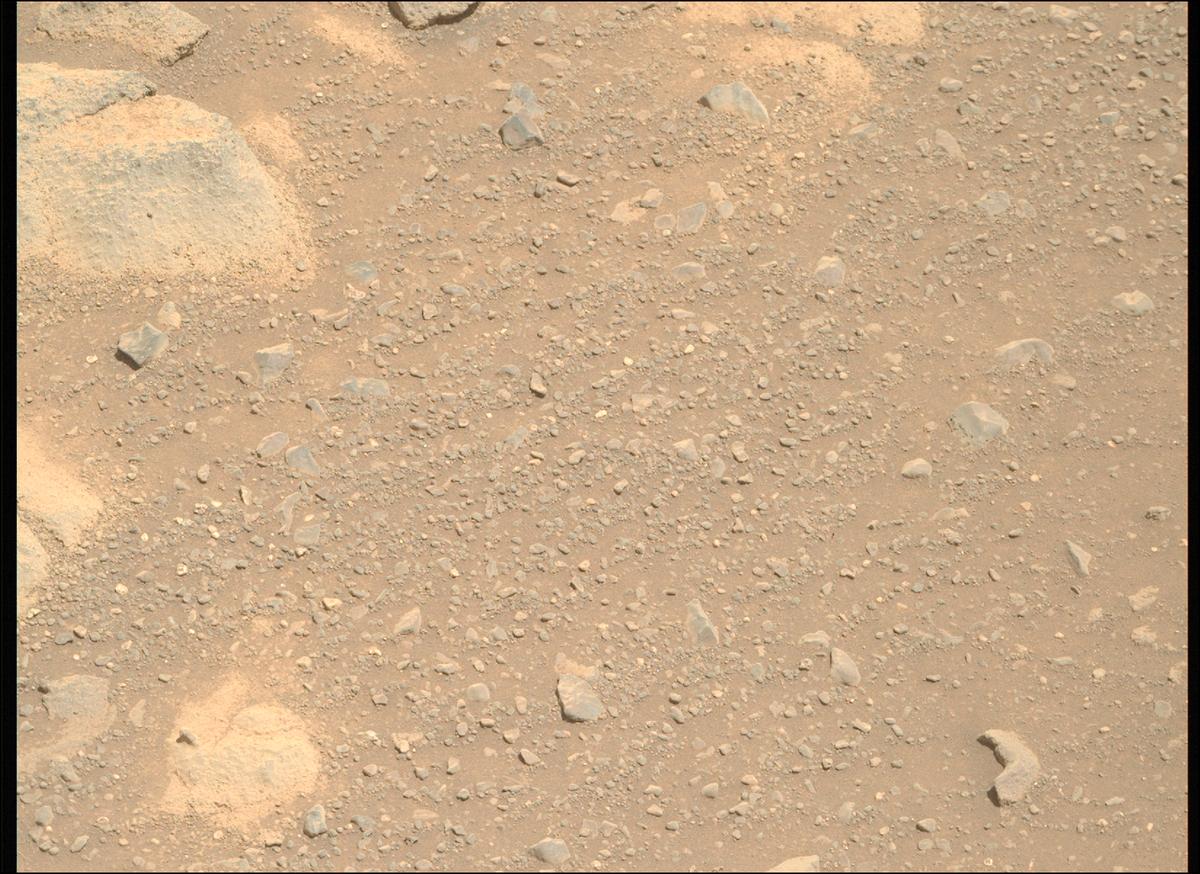 This image was taken by MCZ_RIGHT onboard NASA's Mars rover Perseverance on Sol 1505