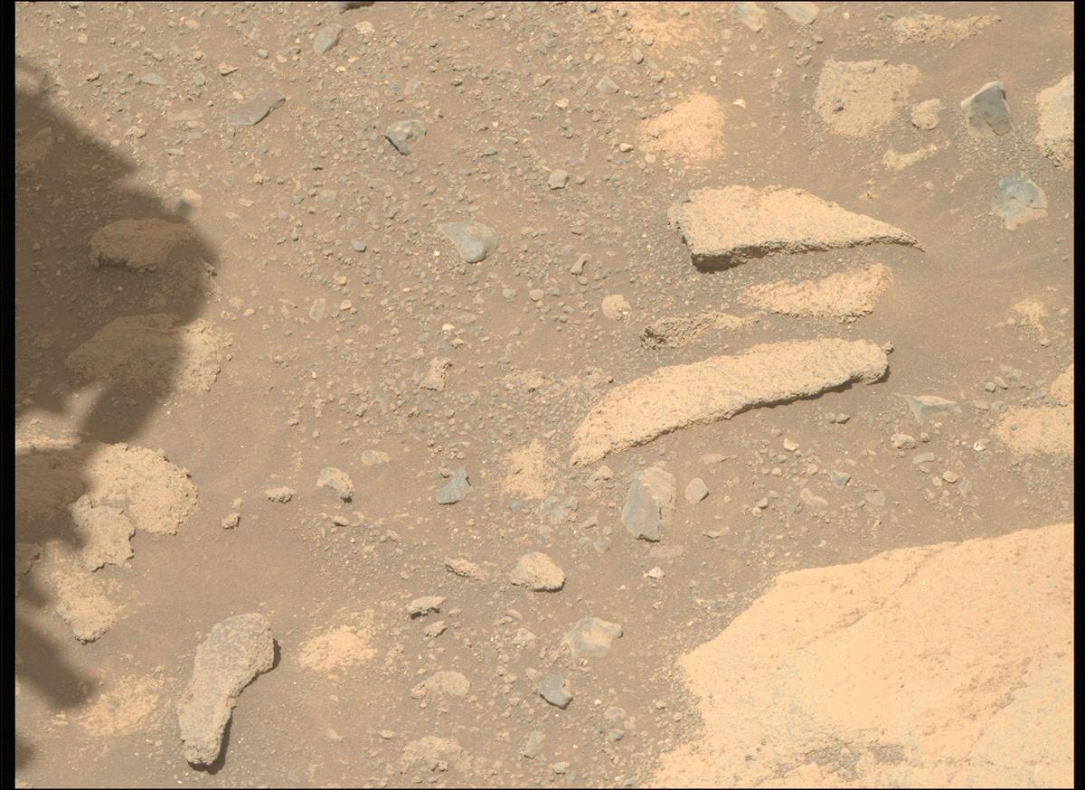 This image was taken by MCZ_RIGHT onboard NASA's Mars rover Perseverance on Sol 1505
