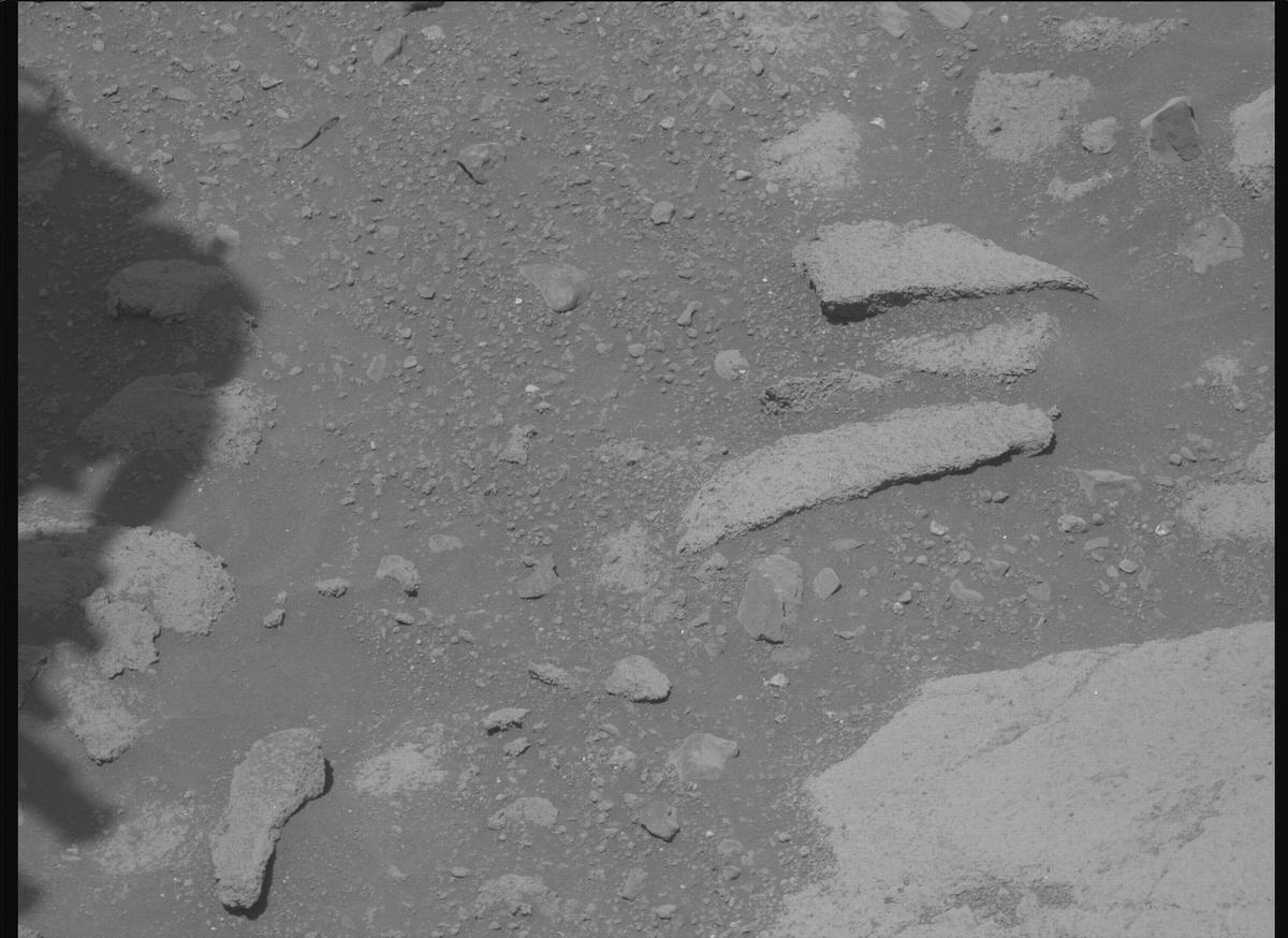 This image was taken by MCZ_RIGHT onboard NASA's Mars rover Perseverance on Sol 1505