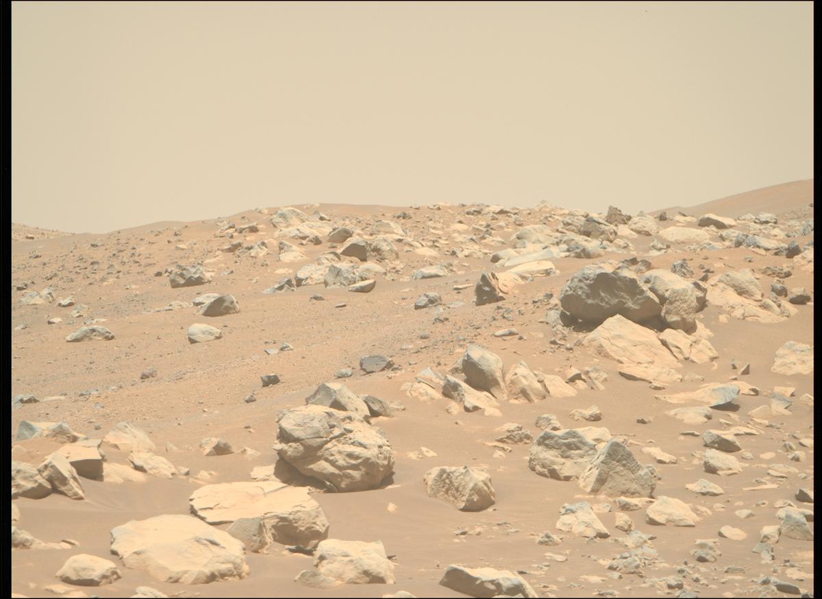 This image was taken by MCZ_RIGHT onboard NASA's Mars rover Perseverance on Sol 1505